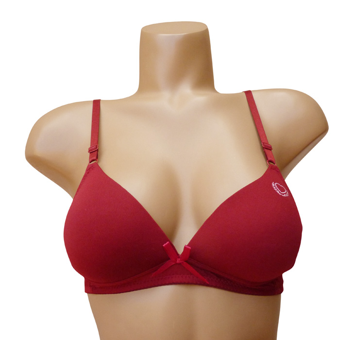 Grossiste Soutien gorge petites poitrines